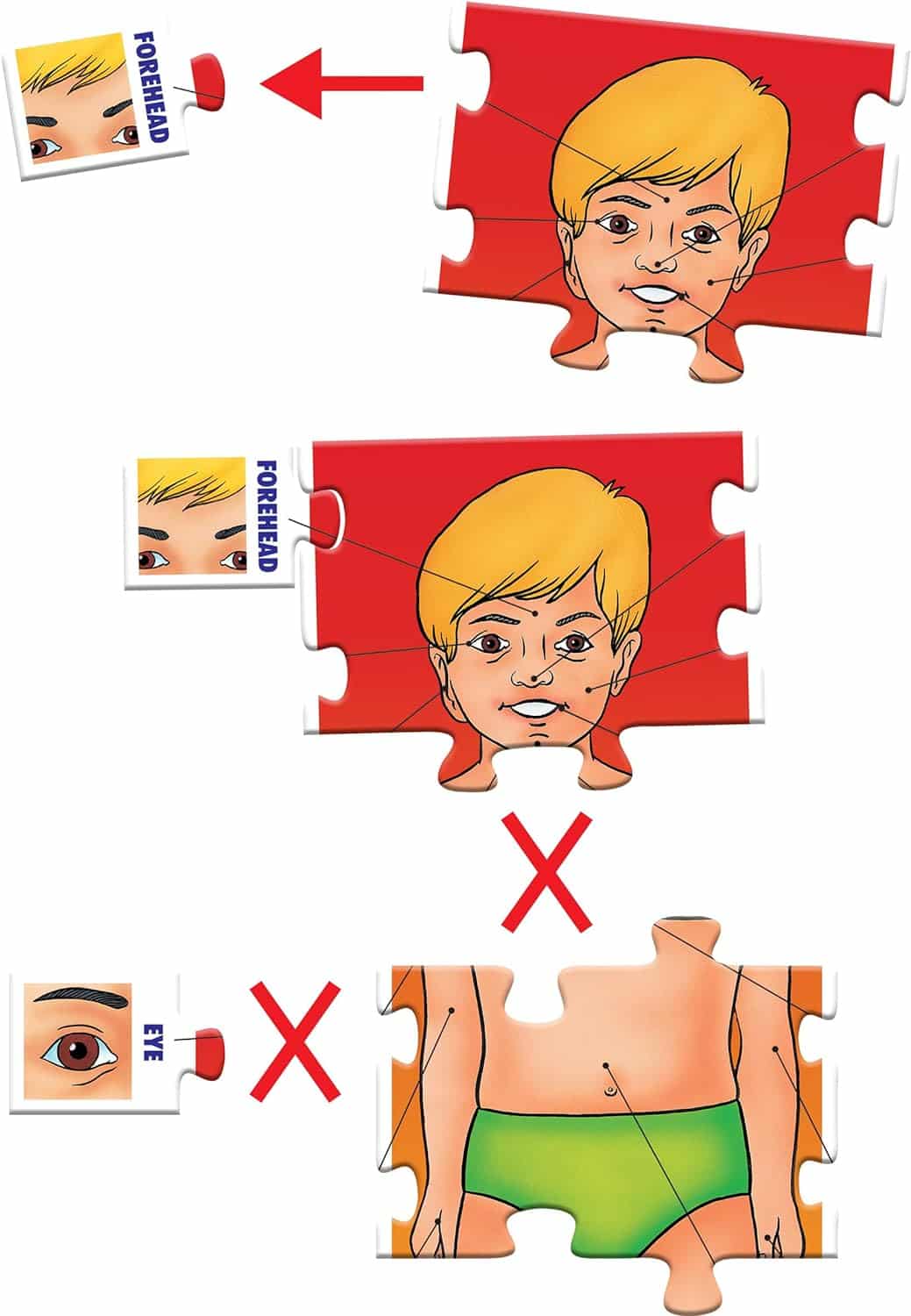 Frank Parts of My Body Puzzle: A Fun and Educational Jigsaw for Early Learners